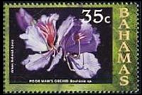 Bahamas 2006 - set Flowers: 35 c