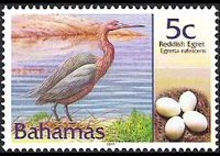 Bahamas 2001 - set Birds and their eggs: 5 c