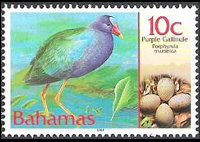 Bahamas 2001 - set Birds and their eggs: 10 c