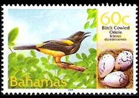 Bahamas 2001 - set Birds and their eggs: 60 c