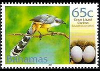 Bahamas 2001 - serie Uccelli e loro uova: 65 c