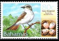 Bahamas 2001 - serie Uccelli e loro uova: 80 c