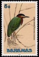 Bahamas 1991 - serie Uccelli: 5 c