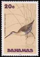Bahamas 1991 - set Birds: 20 c
