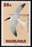Bahamas 1991 - set Birds: 25 c