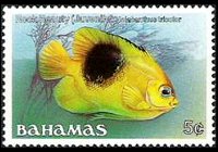 Bahamas 1986 - set Fishes: 5 c