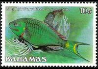 Bahamas 1986 - set Fishes: 10 c