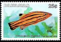Bahamas 1986 - set Fishes: 25 c