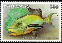 Bahamas 1986 - set Fishes: 35 c