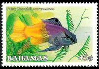 Bahamas 1986 - set Fishes: 45 c