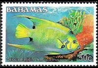 Bahamas 1986 - set Fishes: 50 c