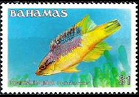 Bahamas 1986 - set Fishes: 1 $