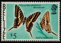 Belize 1974 - set Butterflies: 5 $