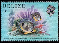 Belize 1984 - set Sealife: 1 c