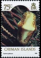 Cayman islands 1986 - set Sealife: 75 c