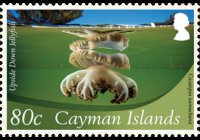 Cayman islands 2012 - set Marine life: 80 c