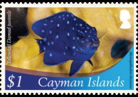 Cayman islands 2012 - set Marine life: 1 $