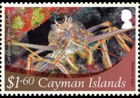 Cayman islands 2012 - set Marine life: 1,60 $