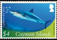 Cayman islands 2012 - set Marine life: 4 $