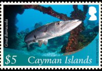 Cayman islands 2012 - set Marine life: 5 $