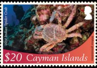 Cayman islands 2012 - set Marine life: 20 $