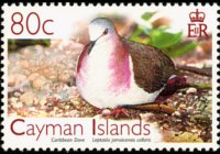 Cayman islands 2006 - set Birds: 80 c
