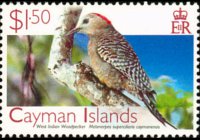 Cayman islands 2006 - set Birds: 1,50 $
