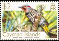Cayman islands 2006 - set Birds: 2 $