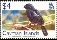 Cayman islands 2006 - set Birds: 4 $