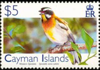 Cayman islands 2006 - set Birds: 5 $