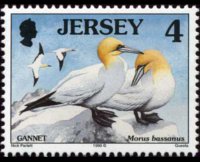 Jersey 1997 - set Seabirds & waders: 4 p