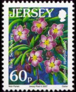 Jersey 2005 - set Flowers: 60 p