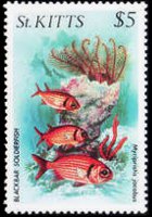 Saint Kitts 1984 - set Sealife: 5 $