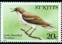 Saint Kitts 1981 - set Birds: 20 c