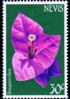 Nevis 1984 - set Flowers: 30 c