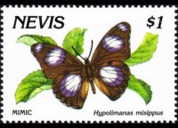 Nevis 1991 - serie Farfalle: 1 $