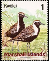 Marshall Islands 1999 - set Birds: 1 c