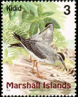 Marshall Islands 1999 - set Birds: 3 c