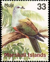 Marshall Islands 1999 - set Birds: 33 c