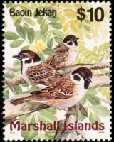 Marshall Islands 1999 - set Birds: 10 $