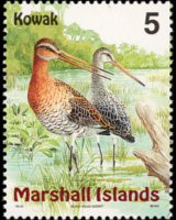 Marshall Islands 1999 - set Birds: 5 c