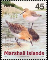 Marshall Islands 1999 - set Birds: 45 c