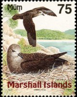 Marshall Islands 1999 - set Birds: 75 c