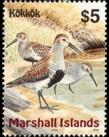 Marshall Islands 1999 - set Birds: 5 $
