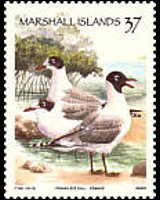 Marshall Islands 1999 - set Birds: 37 c