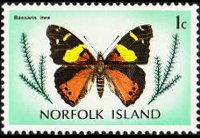 Norfolk 1976 - serie Farfalle: 1 c