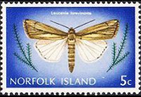 Norfolk 1976 - serie Farfalle: 5 c
