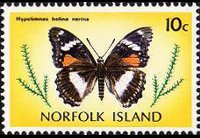 Norfolk 1976 - serie Farfalle: 10 c