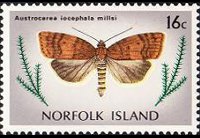 Norfolk 1976 - serie Farfalle: 16 c