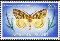 Norfolk 1976 - serie Farfalle: 20 c